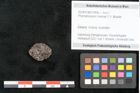 Foto (Objekt + Etikett) von Phymatocaryon mackayi F.V. Mueller (NHMW-GEO-2024-0188-10456)